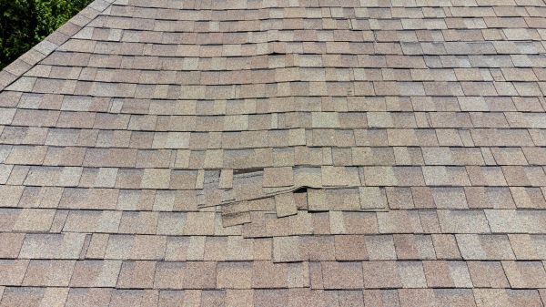 Roof Leak Inspection in Utica