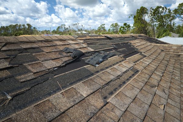 Roof Damage Repair in Utica