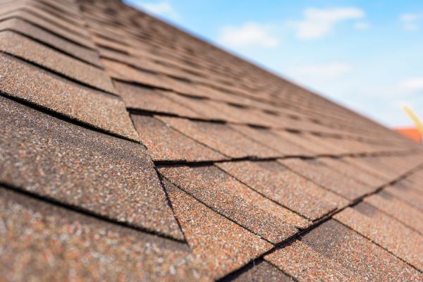 Patio Roof Installation in Utica