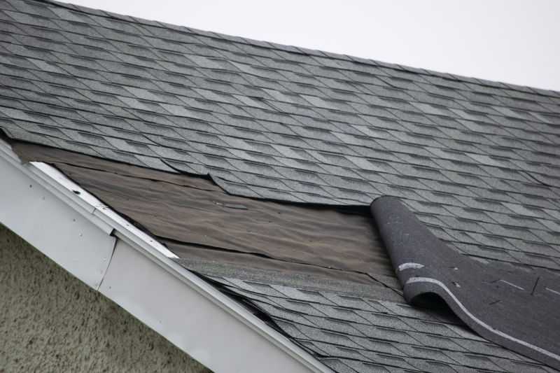 What To Expect During A Professional Asphalt Shingle Roof Repair