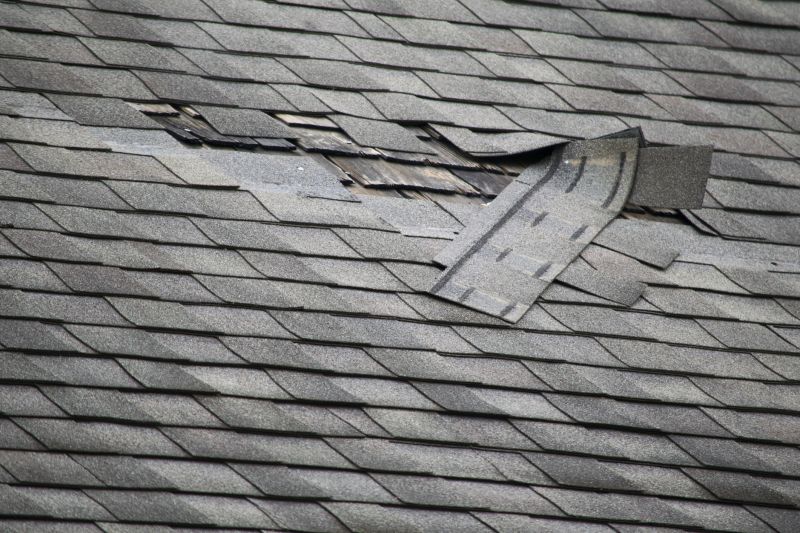 Roof Repair Specialists